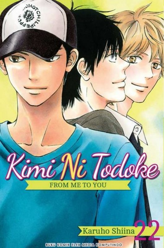 Cover Buku Kimi Ni Todoke: From Me to You 22