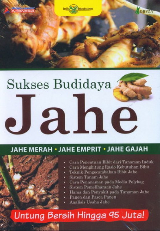 Cover Depan Buku Sukses Budidaya Jahe (Untung Bersih Hingga 95 Juta)