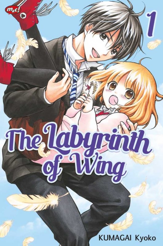 Cover Buku The Labyrinth of Wing 01