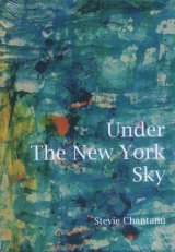 Under The New York Sky