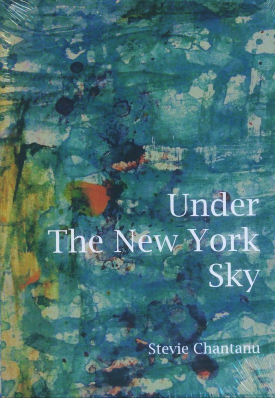 Cover Buku Under The New York Sky
