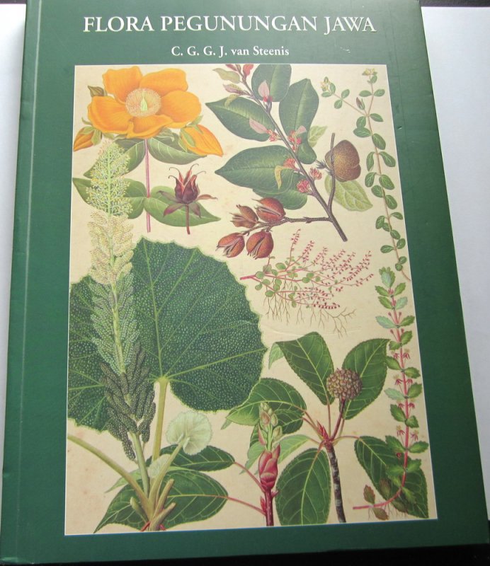 Cover Buku Flora Pegunungan Jawa (full color)