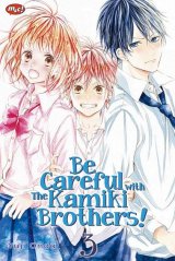 Be Careful with Kamiki Brothers! 03