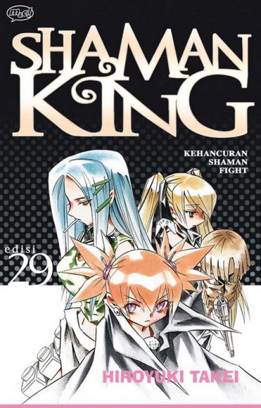 Cover Buku Shaman King 29