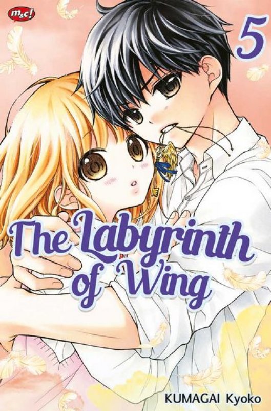 Cover Buku The Labyrinth of Wing 05