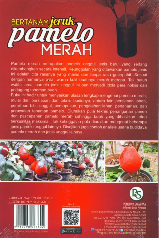Cover Bertanam Jeruk Pamelo Merah