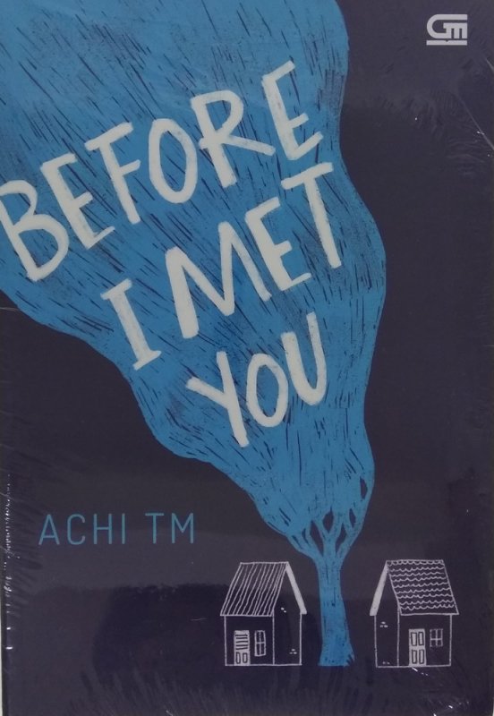 Cover Buku Before I Met You