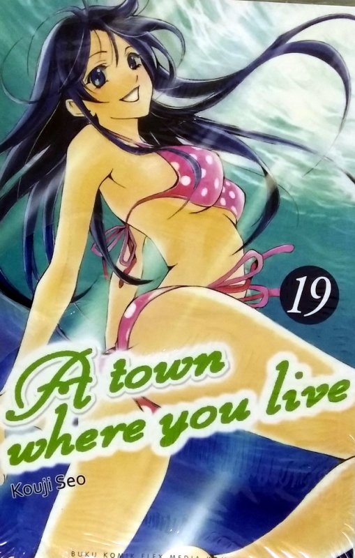 Cover Buku A Town Where You Live 19