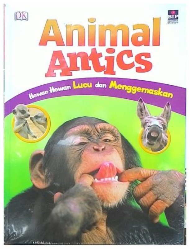 Cover Buku  Animal Antics : Hewan-hewan Lucu Dan Menggemaskan