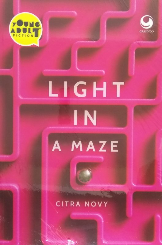 Cover Buku Light In A Maze