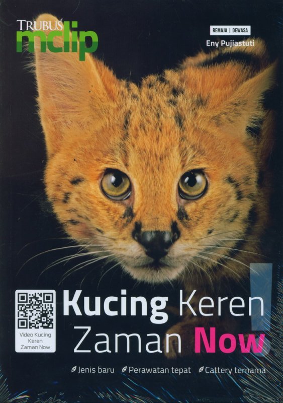 Cover Buku Kucing Keren Zaman Now