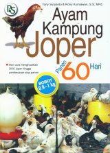 Ayam Kampung Joper Panen 60 Hari