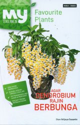 Agar Dendrobium Rajin Berbunga