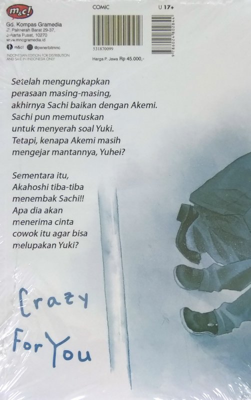 Cover Belakang Buku Crazy For You 02
