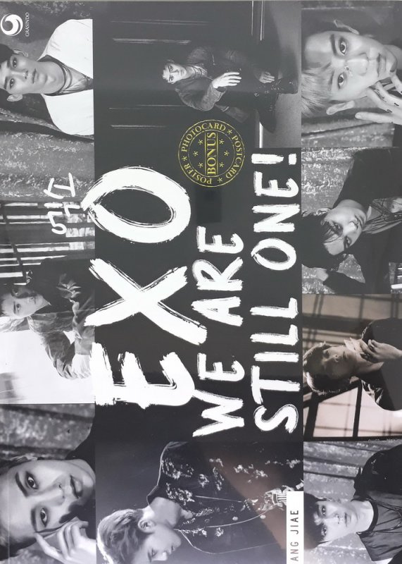 Cover Buku EXO : We Are Still One!