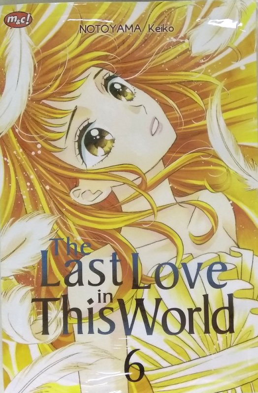 Cover Buku The Last Love In This World 06