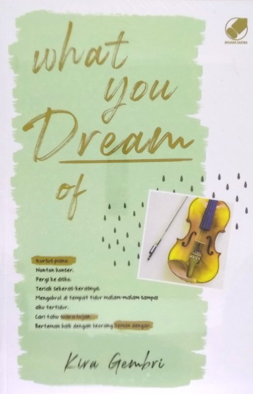 Cover Buku What You Dream Of