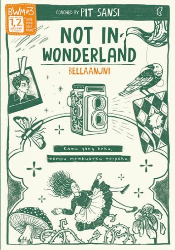 Cover Buku Not in Wonderland