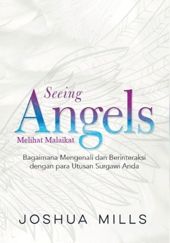 Cover Buku Melihat Malaikat (Seeing Angels)