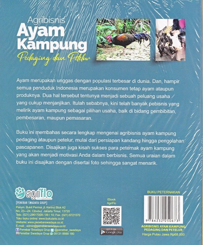 Cover Belakang Buku Agribisnis Ayam Kampung Pedaging dan Petelur