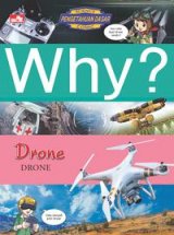 Why? Drone