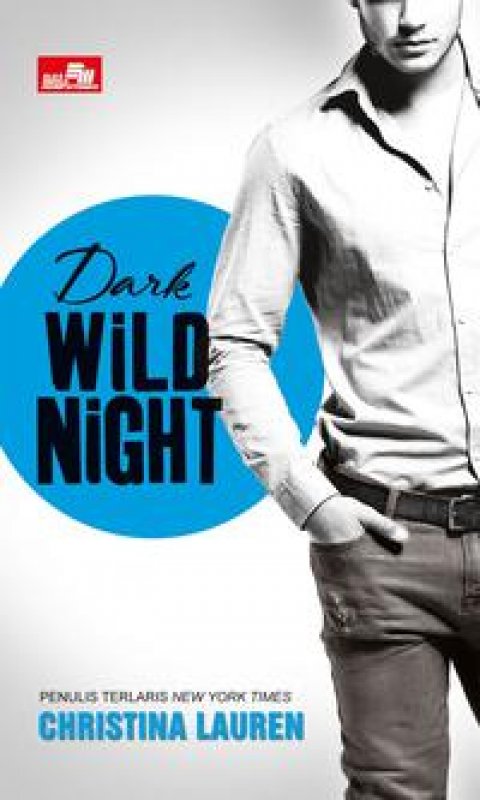Cover Buku CR: Dark Wild Night