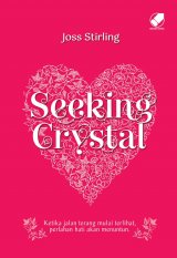 Seeking Crystal-novel petualangan
