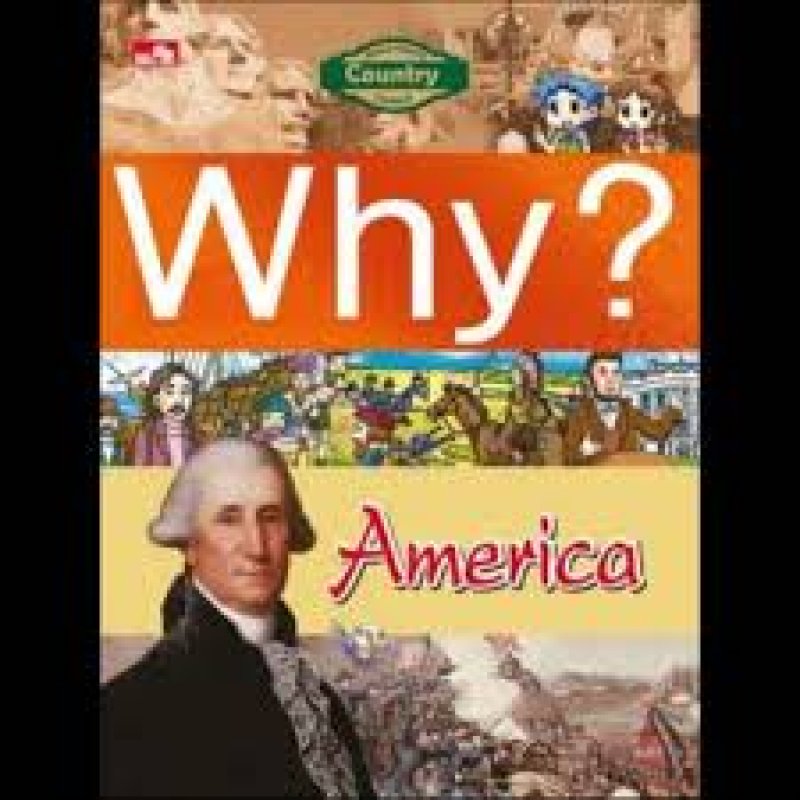 Cover Buku Buku why? America: segala sesuatu tentang Amerika