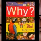 Why? Bird (Burung):  segala sesuatu tentang burung