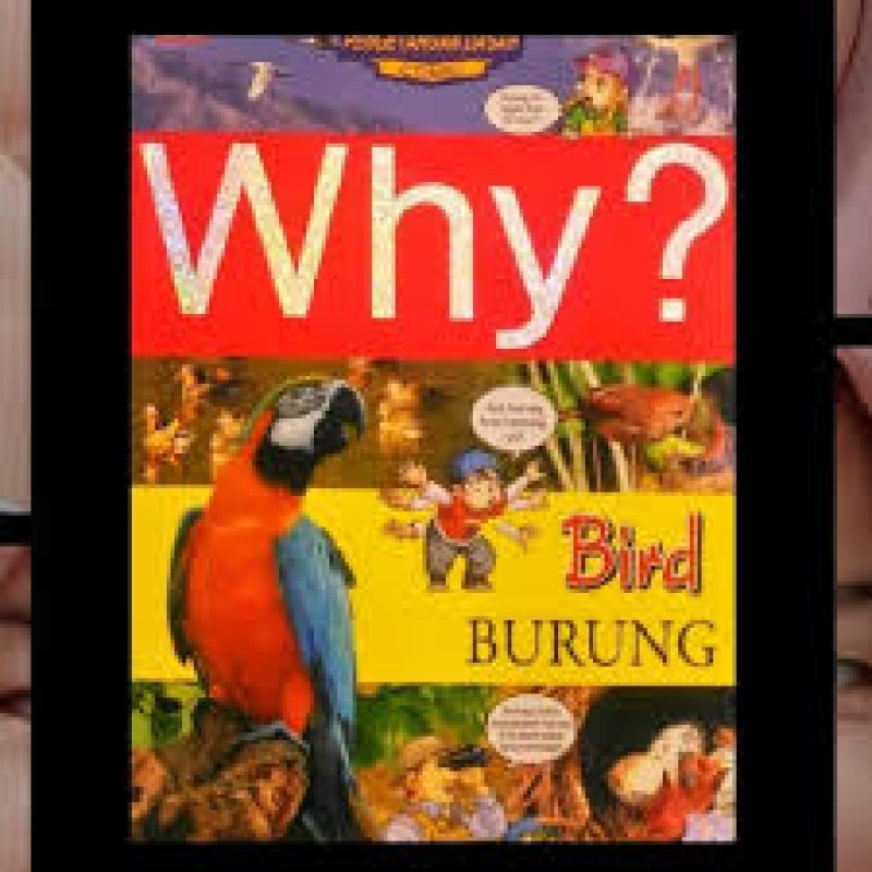 Cover Belakang Buku Why? Bird (Burung):  segala sesuatu tentang burung