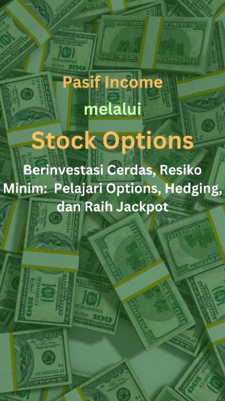 Cover Buku Pasif Income melalui Stock Options