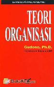 Teori Organisasi (Seri Bacaan Pascasarjana)