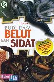 Budidaya Belut & Sidat