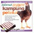 Beternak Ayam Kampung Petelur (Edisi Revisi)