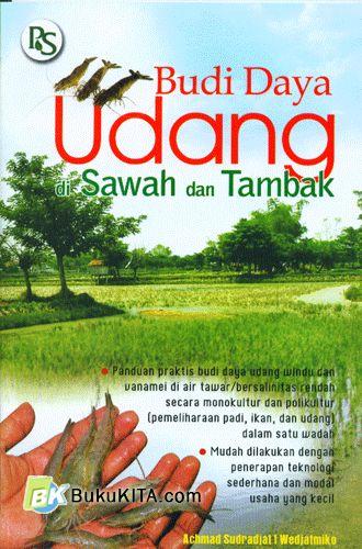 Cover Buku Budidaya Udang Di Sawah Dan Tambak