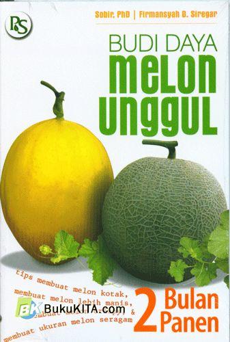 Cover Buku Budi Daya Melon Unggul Food Lovers