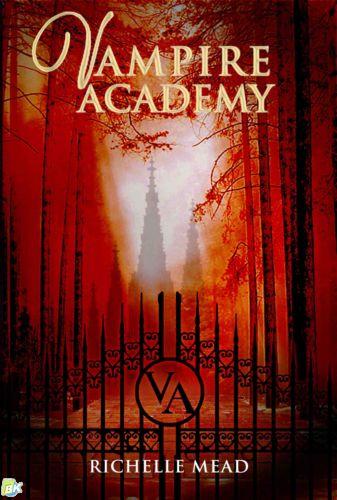 Cover Buku Vampire Academy #1