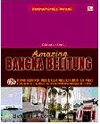 Cover Buku Amazing Bangka Belitung
