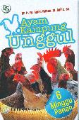 Ayam Kampung Unggul 6 Minggu Panen