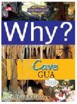 Cover Buku Why? Cave