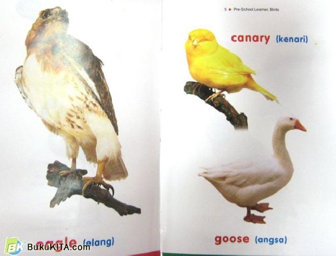 Cover Belakang Buku PRE SCHOOL LEARNER: BIRDS 