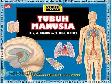 Tubuh Manusia