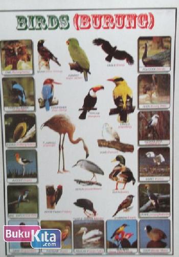 Cover Buku POSTER PERAGA PENDIDIKAN 8 : BIRDS