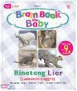 Brain Book For Baby Seri Binatang Liar (Indonesia - Inggris)