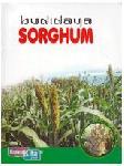 Cover Buku Budidaya Sorghum