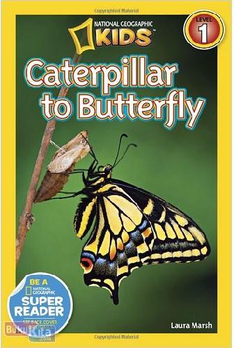 Cover Buku National Geographic Readers : Caterpillar to Butterfly
