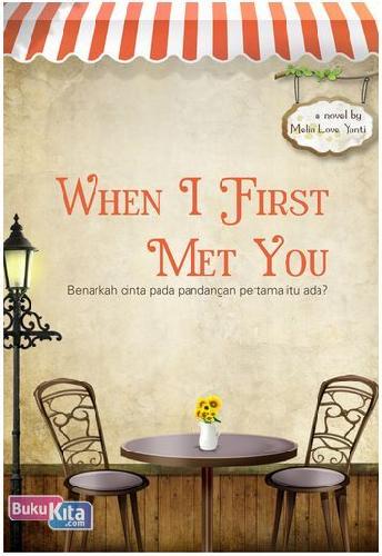 Cover Buku When I First Met You