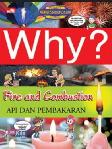 Why? Fire And Combustion