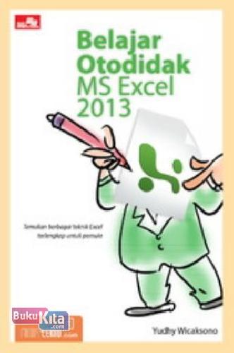 Cover Buku Belajar Otodidak Ms Excel 2013