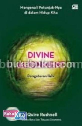 Cover Buku Divine Alignment
